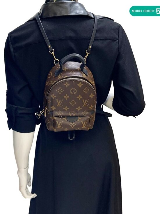 Louis Vuitton  Palm Spring Mini Monogram Canvas Backpack Brown main image 5